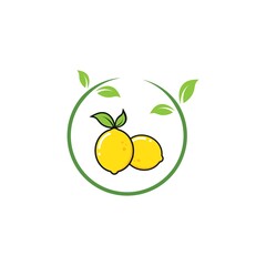 lemon  fruit  vector  illustration concept  design