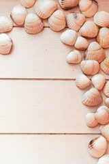Seashells on a wooden board. Background