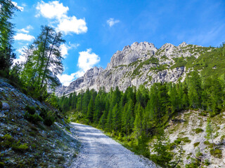 A small and gravelled road in mountain range of Lienz Dolomites, Austria. The mountains are partially overgrown with green bushes. Dangerous mountain climbing. Tall trees growing in front