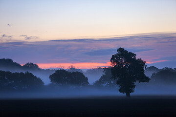 Mid winter Morning