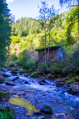 Mountain stream immersed in the valley and in the woods with a hut in the green clearing