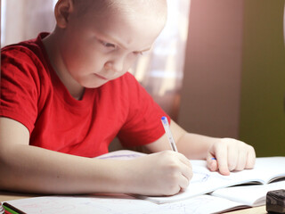 Portrait of a young boy writing in the room