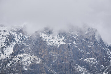 Fototapeta na wymiar rugged mountain landscape - snow-capped rocky cliffs with rare trees hide in cloudy fog