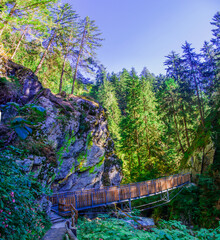 wooden bridge to cross the mountain stream in the nature reserve