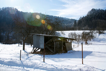 covered pile of timber wood in winter rural scenery under the sun with colorful lens flares