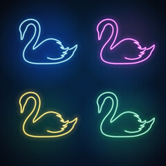 Colorful neon swans on dark background vector illustration