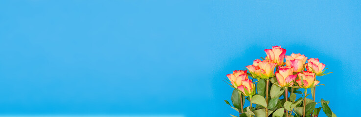 Rose flowers on a banner background