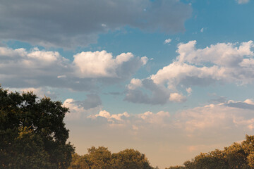 Beautiful couples, fields and landscapes of the Cordoba