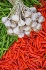 Garlics on red and green chili peppers background