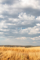 Obraz premium Beautiful couples, fields and landscapes of the Cordoba