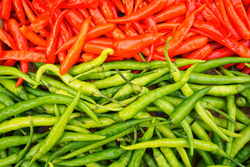 Young green and ripe red chili peppers