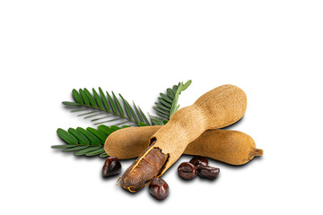 Tamarind with leaves and seeds on white background with clipping path. Ripe tamarind peel shell and hard dark seeds.