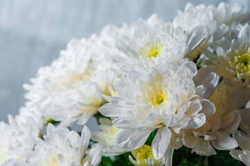 A bouquet of delicate white chrysanthemum flowers on a light background.