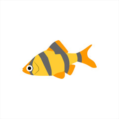 vector illustration japanese carp and colorful oriental koi in Asia of Chinese goldfish and traditional fishery isolated on white background. color editable