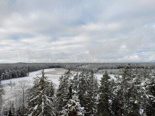 View at the frozen lake. Lake covered with snow. Winter season in Latvia. Outside walk in the national park.