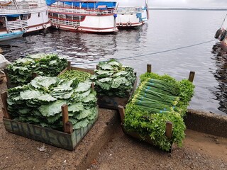 
Vegetable delivery by boat to the port of Manaus – Amazon, Brazil
