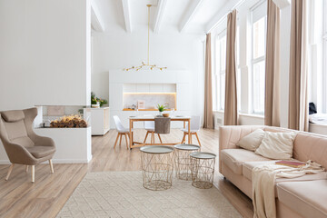 interior design spacious bright studio apartment in Scandinavian style and warm pastel white and beige colors. trendy furniture in the living area and modern details in the kitchen area.