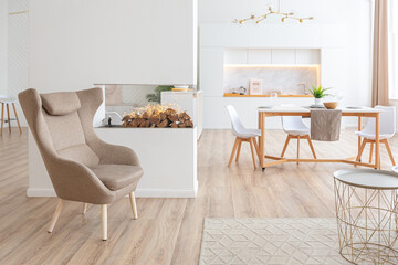 interior design spacious bright studio apartment in Scandinavian style and warm pastel white and beige colors. trendy furniture in the living area and modern details in the kitchen area.