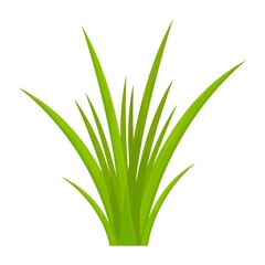 Green grass in cartoon style, bright herb isolated on white background. Season natural wild plant, design element, game asset. 