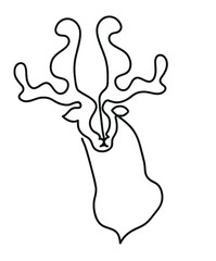 One line drawing of fallow deer head.
One continuous line drawing of the look of the deer