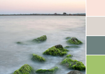 Color palette swatches of seascape green seaweeds on the rocks in grey motion blurred water...