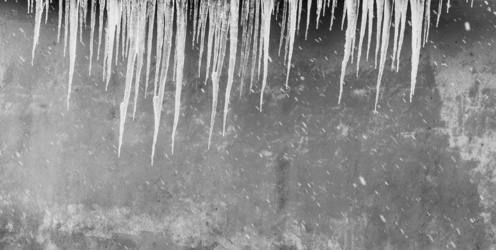 icicles hanging from the roof against the gray wall, black and white photo