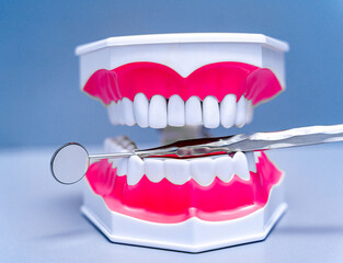 Stomatology and dental treatment concept. Anatomical model of teeth and medical devices on the dentist's table. Close up.