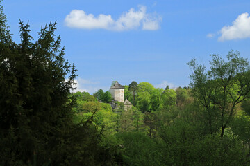 Fototapeta na wymiar Ruins of medieval Ojcow castle in Ojcow National Park, Polish Jura, Poland