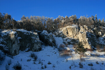 Fototapeta na wymiar Rock formations in Kobylanska valley in Polish Jura, Poland