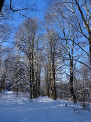 Fototapeta premium Ilmenau-Manebach