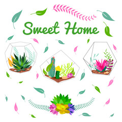 Set of geometric florariums. Geometric terrariums set with plants, succulents and cactus. Scandinavian style home decor. Glass crystal florariums isolated on white background.