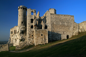 Fototapeta na wymiar Ruins of medieval Ogrodzieniec Castle, Polish Jura, Poland