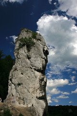 Maczuga Herkulesa - Bludgeon of Hercules - rock formation in Polish Jura near Pieskowa Skala Castle, Poland
