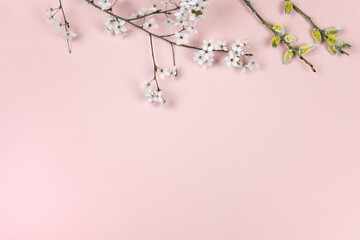 Flowering cherry twig. Spring tree branches, and pussy willow catkins on pink background. Springtime, easter season border background, banner. Springtime floral flat lay arrangement. 