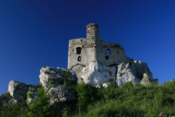 Obraz premium Ruins of medieval Mirow castle in Polish Jura, Poland