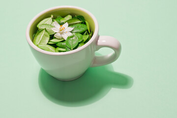 Taza rellena de hojas con pequeña flor