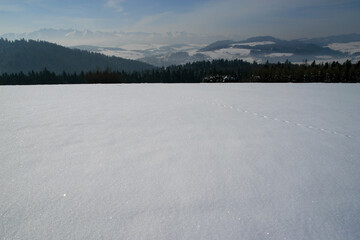 Landscape of Pieniny Mountains near Czorsztyn village, Poland