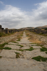 The decumanus maximus facing to the Tangier gate, a magnificent axis through the ancient site of Volubilis, Morocco.