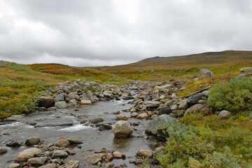 Auf der Wildnisstraße (schwedisch Vildmarksvägen) entlang der Schwedisch-norwegischen Grenze