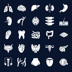 Anatomy icons collection with human internal organs symbols