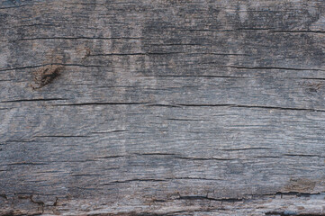 Textured vintage background. Dark texture close-up. Grunge wood material surface, old hardwood planks.