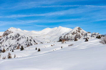 Fototapeta na wymiar The mountain range of the Monte Carega in winter with snow, called the small Dolomites view from the Altopiano della Lessinia (Lessinia Plateau). Malga San Giorgio, Verona, Veneto, Italy, Europe. 