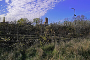 former abandoned and overgrown sports field
