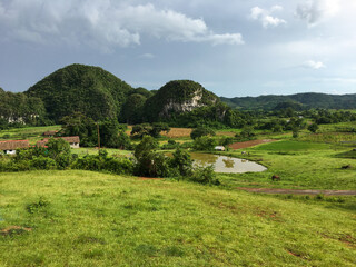 Natural landscape of Viñales, Cuba, on a cloudy day. Limestone mountains characteristic of the valley covered by dark green vegetation, green meadows, a lake and free grazing horses.