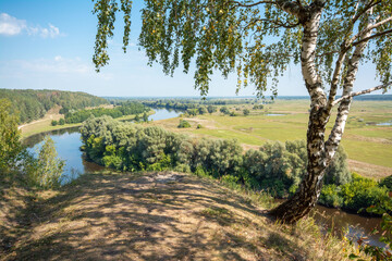 Landscape of a birch tree on a high bank of a river. Summer view on the river and teritory around