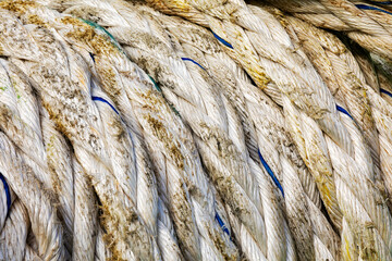 Abstract/Close-up photo of a bunch of ropes