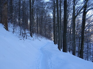 Ilmenau-Manebach