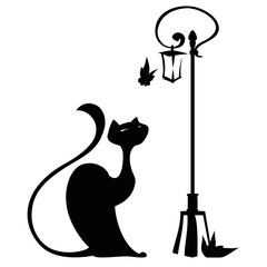 cat and lantern
