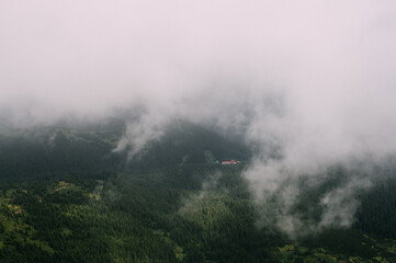 view from the top of mountain hoverla down, blue sky, clouds, thick fog, moss, conifers