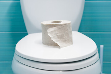 torn roll of toilet paper lies on closed lid of toilet bowl